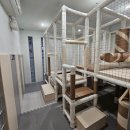 치킨매니아 파주운정점 이미지