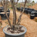 정금농장 이미지