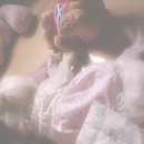 잠꾸러기 - 제천시 탑안로10길 4 | 잠꾸러기