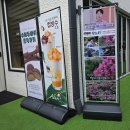 김해 대형 정원 카페 아덴플러스 가야점 후기