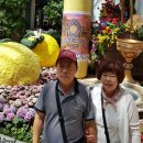 2019-주113 이미지