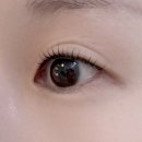 건대입구역속눈썹펌 짧은 속눈썹도 이렇게 바짝 올라간다고? 보리네눈썹가게 후기