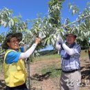 북충주농업협동조합 이미지