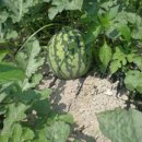 희연농장 이미지