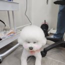 몽이미용실 이미지