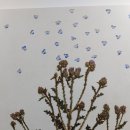 이충열 개인전 Daum카페
