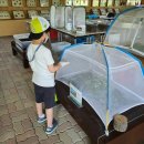 장수엄마 농장 이미지