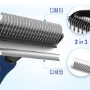 강아지 털갈이 빗 추천｜독스랩 디디브러시 솔직 사용 후기 (엉킨 털·죽은 털 제거)