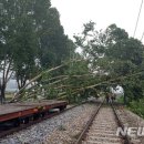 [국도3] 충주시 만정리 이미지