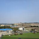 판다오라 이미지