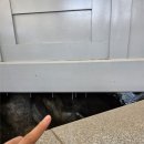 세종파크목욕탕 | 괴산 중원대학교 중원워터피아 대전/세종 근교 워터파크 아이들과 놀기 좋은 가성비 수영장 현장 분위기...
