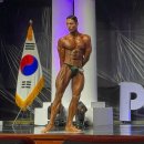 핏불 휘트니스 이미지