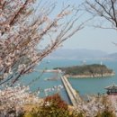 만성리길 이미지