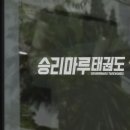 승리마루태권도 이미지