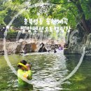 [충북 영동] 별밤펜션오토캠핑장 계곡캠핑장강력추천 물한계곡