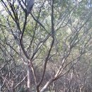 박상구 농장 이미지