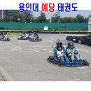 용인대통일태권도 이미지