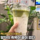 영양-3)영양군 솔다방 앞 | 요즘 말차가 유행이라.. 빽다방 신상 말차크림라떼 먹어봤어요