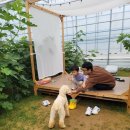 화개농장 이미지