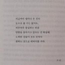 도야미트 | 11월 일상 ˶˙ᵕ˙˶