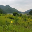 동강주유소 이미지