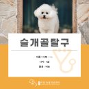 검단이담동물의료센터 이미지