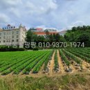 태림모텔 이미지