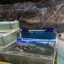 준도농수산 이미지