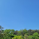 신정호수공원-1 이미지