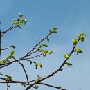 신전농장 이미지