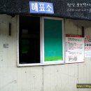 강원참숯