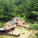 쉼터포장마차 이미지