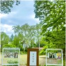 오정동우체국 | 대전 등나무꽃 명소 오정동 선교사촌