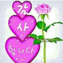 장어마을 이미지