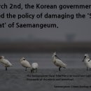 Korea's Saemangeum 'Sura Tidal Flat' at risk of damage. 이미지