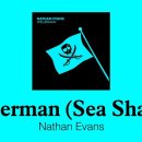 Wellerman - Nathan Evans 이미지