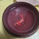 웅이네오돌뼈 | 만수동맛집 내돈내산 닭발 웅이네 오돌뼈