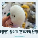 [동탄]설미가 잔기지떡 본점 방문기｜기정떡 맛집에서 만난 정성 가득한 떡 이야기