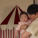 아기방 꾸미기@ 도어커튼 두잉썸 써커스 플레이 커튼 내돈내산 후기🎪♥️
