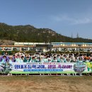 암태초등학교 이미지