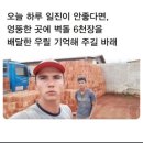 오늘하루가 이미지