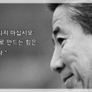 정치11 Daum카페