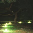 대율초등학교 이미지