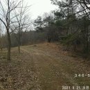 솔봉농장 이미지