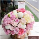 강남리즈산부인과의원 이미지