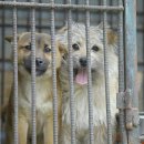 용종농장 이미지