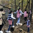 고달초등학교 이미지