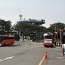 누리 | 파주 임진각 평화누리공원 솔직후기