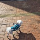 코코마리(coco mari) 이미지