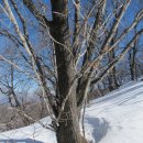 [2012년 2월-새재사랑산악회] ☆… 평창 잠두봉-백석산의 하얀 눈길을 걸으며 (2) 이미지